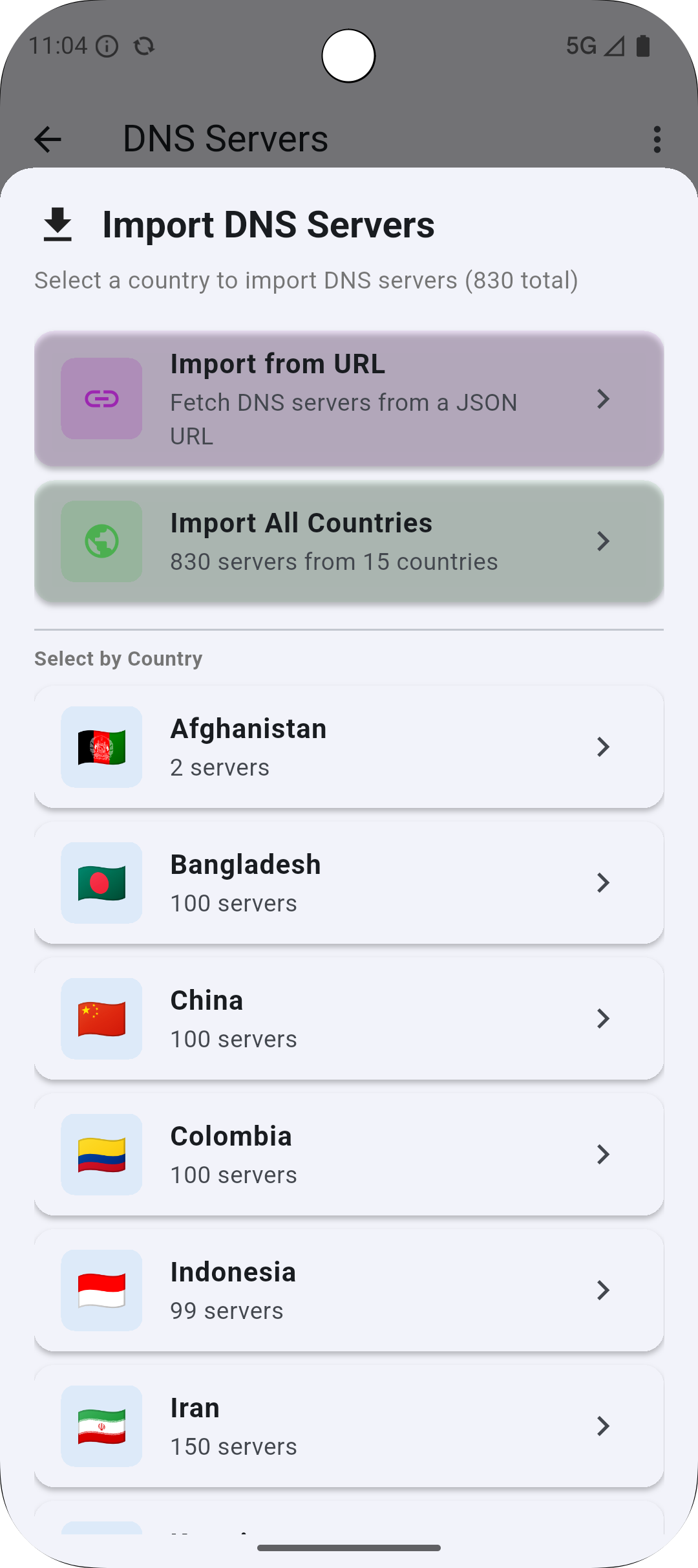 DNSTT Android - Import DNS