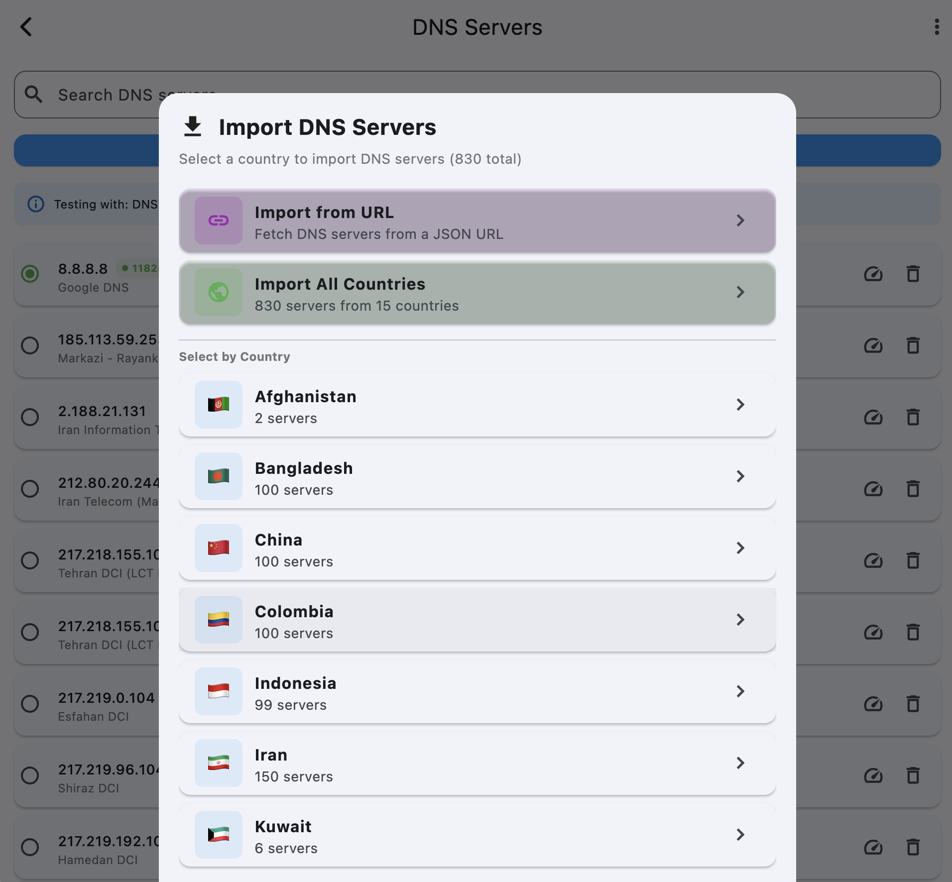 DNSTT Desktop - Import DNS Server