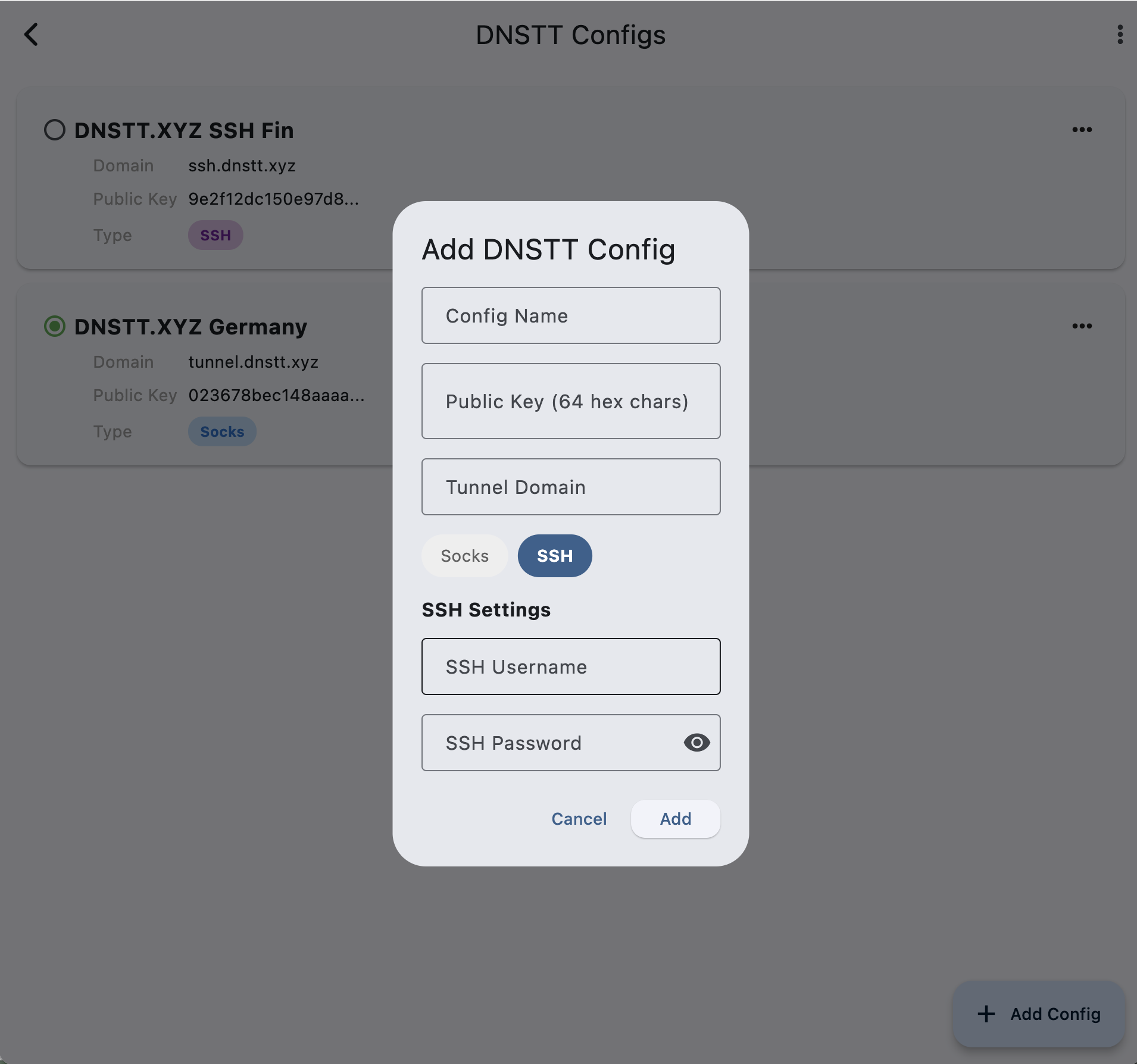 DNSTT Desktop - Add SSH Config